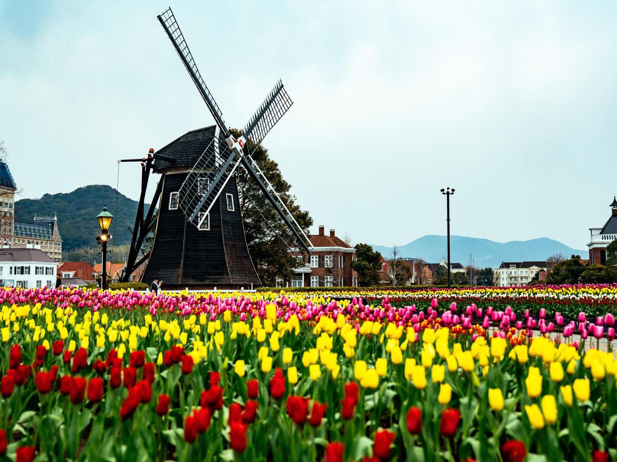 Rakuten STAY HOUSE x WILL STYLE Sasebo 103 Bagian luar foto